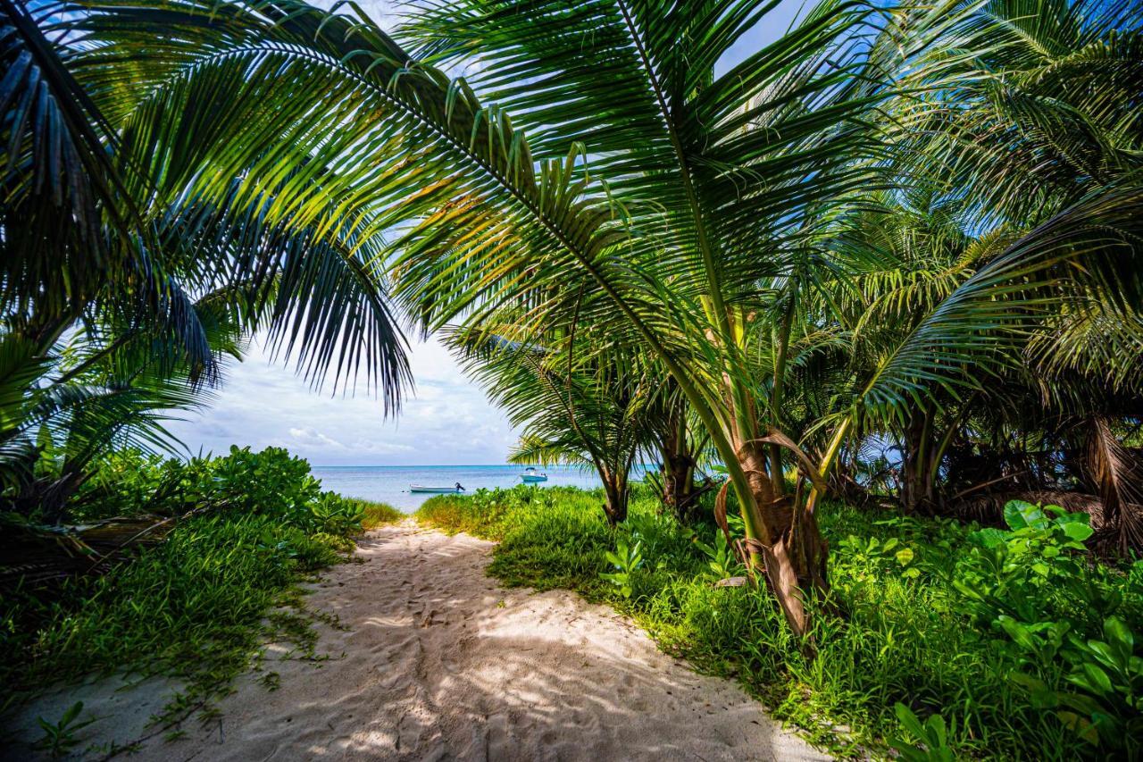 Lou Lou Bungalow Grand Anse  Exterior foto